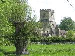 Church tower viewed across vibrant-green watermeadows with willows